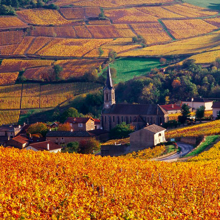 Solutre en Bourgogne-Franche-Comté